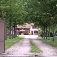Allée d'érables de l'entrée