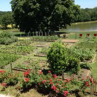 Potager