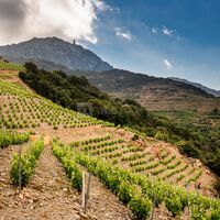 Domaine Saint Thomas