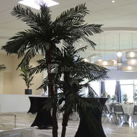 Décoration