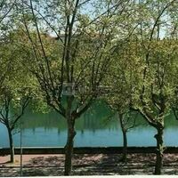 Vue dégagée sur Rhône