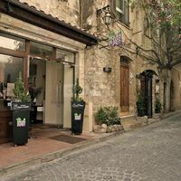 Le Figuier Saint Esprit