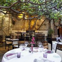 Le Figuier Saint Esprit