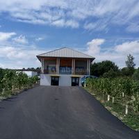 Vignoble Marchais