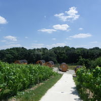 Vignoble Marchais