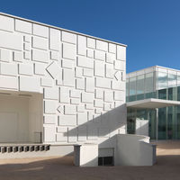 Le Consortium Museum