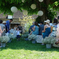 Mariage - cérémonie sous l'arbre