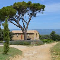 Domaine les Perpetus