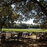 Domaine les Perpetus
