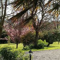 Le jardin
