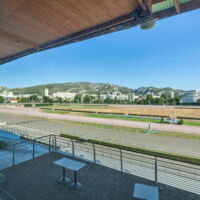 Hippodrome Marseille Vivaux