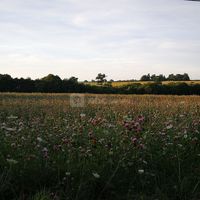 Le Trempe-Sec