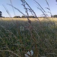 Le Trempe-Sec
