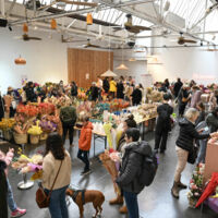 Pop up, vente de fleurs séchées
