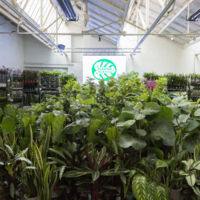 Plantes Pour Tous