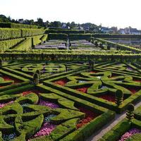 Le jardin d'ornement juillet 2012