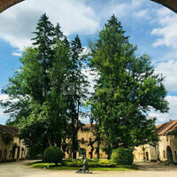Cour d'honneur de l'Abbaye