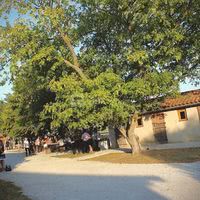 La Cour du Domaine