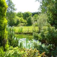 Au Jardin Argile Passion