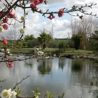 Au Jardin Argile Passion