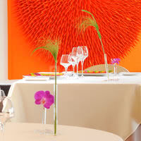 Des roses et des orties