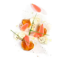 Des roses et des orties