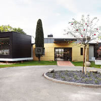 Des roses et des orties