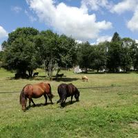 Village Vacances Éco l'Eau