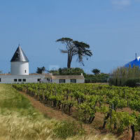 Le Moulin de l'Hôtel Le Sénéchal