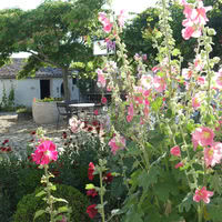Le Moulin de l'Hôtel Le Sénéchal