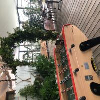 Le Reef Club