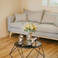 Château de Faverges