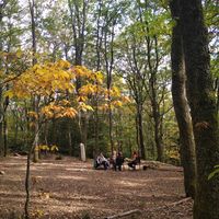 Séminaire pleine nature