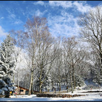 Chalet Convivial Hiver