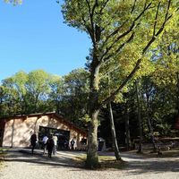 Chalet Convivial