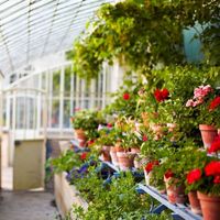 Château du Grand Luce