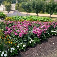 Château du Grand Luce