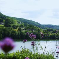 A Fleur d'Eau