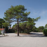 Hôtel Vent d'Eden Park