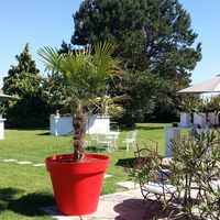 Domaine de la Ferme - La Vallée Aux Pages