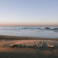 Plage Sauvage