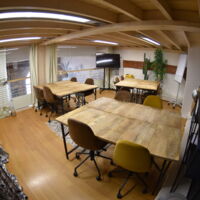 Salle JUNGLE atelier