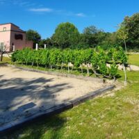 Domaine Naïs - Le Pigeonnier de Naïs