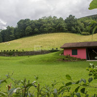 Ikaburua