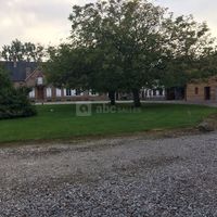 La cour