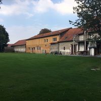 Salle vue du jardin (partie bois)