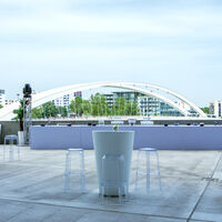Vue sur le pont Raymont Barre de la Terrasse Rhône