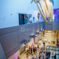 Espace liant Niveau 1 (aux portes des expositions temporaires)