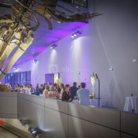 Espace liant Niveau 2 (aux portes du parcours permanent)