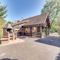 Chalet Lion - barbecue